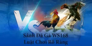 Bí Kíp Chơi Đá Gà WS168 Tại 789Club Thắng Lớn Mỗi Ngày