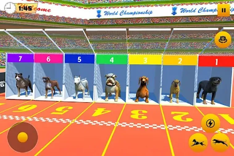 Cách Chơi Game Nhanh Đua Chó 789Club: Tốc Độ Đỉnh Cao Thắng Lớn